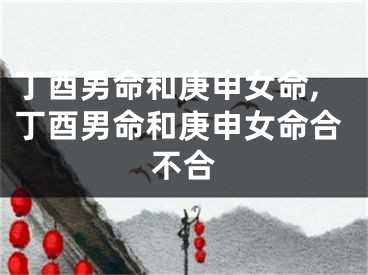 丁酉男命和庚申女命,丁酉男命和庚申女命合不合