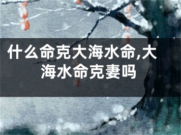 什么命克大海水命,大海水命克妻吗