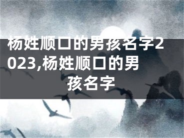 杨姓顺口的男孩名字2023,杨姓顺口的男孩名字