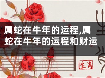 属蛇在牛年的运程,属蛇在牛年的运程和财运