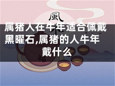 属猪人在牛年适合佩戴黑曜石,属猪的人牛年戴什么