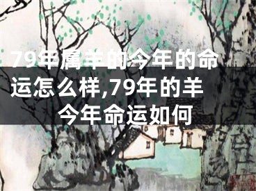 79年属羊的今年的命运怎么样,79年的羊今年命运如何