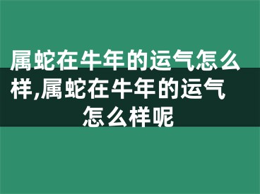 属蛇在牛年的运气怎么样,属蛇在牛年的运气怎么样呢