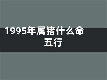 1995年属猪什么命五行