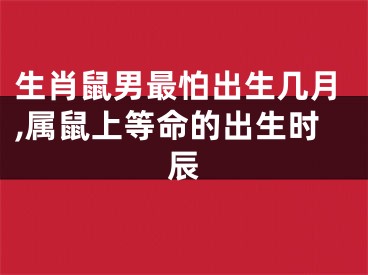 生肖鼠男最怕出生几月,属鼠上等命的出生时辰