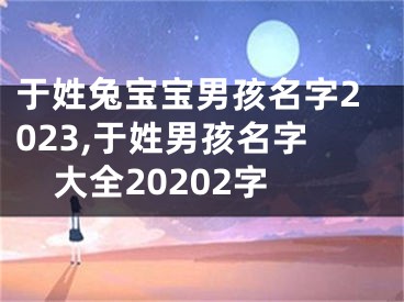 于姓兔宝宝男孩名字2023,于姓男孩名字大全20202字