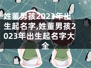 姓董男孩2023年出生起名字,姓董男孩2023年出生起名字大全