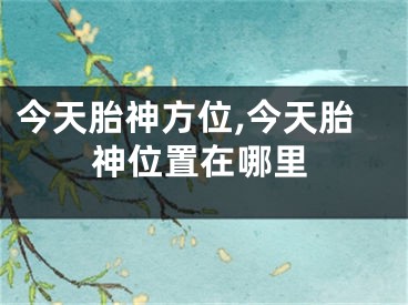 今天胎神方位,今天胎神位置在哪里