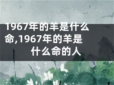 1967年的羊是什么命,1967年的羊是什么命的人