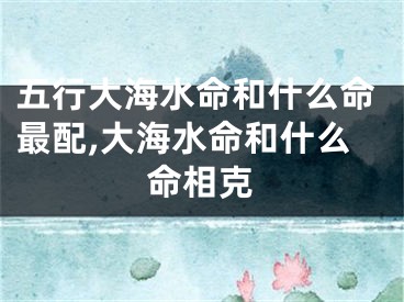 五行大海水命和什么命最配,大海水命和什么命相克