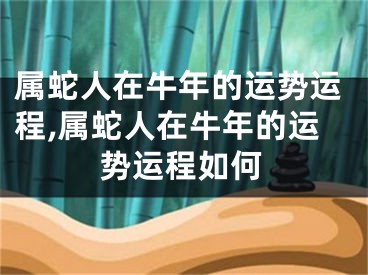 属蛇人在牛年的运势运程,属蛇人在牛年的运势运程如何