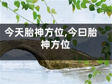 今天胎神方位,今曰胎神方位