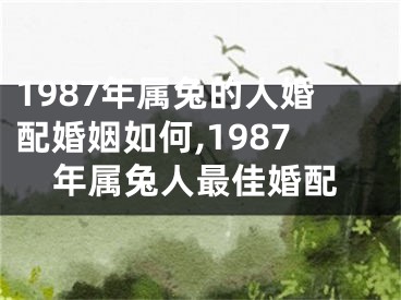 1987年属兔的人婚配婚姻如何,1987年属兔人最佳婚配