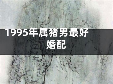 1995年属猪男最好婚配