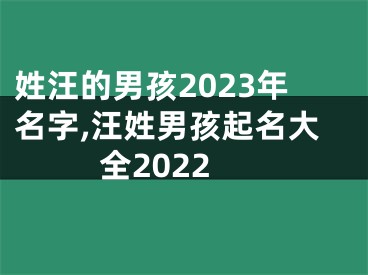 姓汪的男孩2023年名字,汪姓男孩起名大全2022