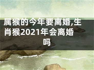 属猴的今年要离婚,生肖猴2021年会离婚吗