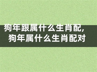 狗年跟属什么生肖配,狗年属什么生肖配对