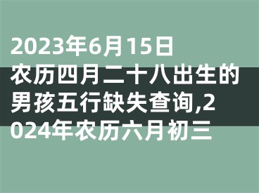 2023年6月15日农历四月二十八出生的男孩五行缺失查询,2024年农历六月初三