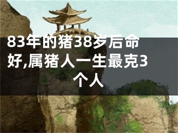 83年的猪38岁后命好,属猪人一生最克3个人