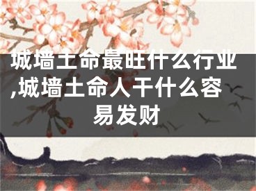 城墙土命最旺什么行业,城墙土命人干什么容易发财