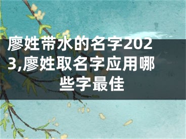 廖姓带水的名字2023,廖姓取名字应用哪些字最佳