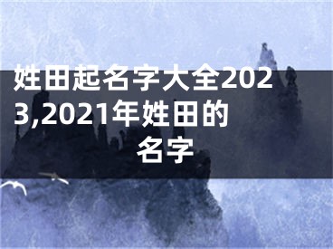 姓田起名字大全2023,2021年姓田的名字