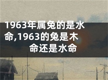 1963年属兔的是水命,1963的兔是木命还是水命