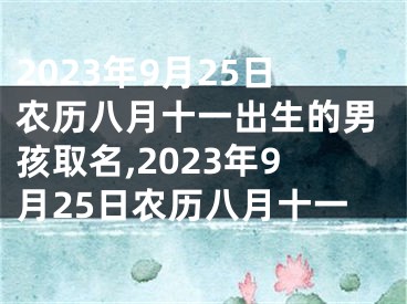 2023年9月25日农历八月十一出生的男孩取名,2023年9月25日农历八月十一