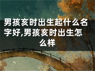 男孩亥时出生起什么名字好,男孩亥时出生怎么样