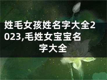 姓毛女孩姓名字大全2023,毛姓女宝宝名字大全