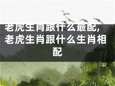 老虎生肖跟什么最配,老虎生肖跟什么生肖相配