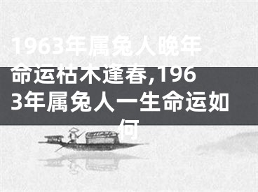 1963年属兔人晚年命运枯木逢春,1963年属兔人一生命运如何