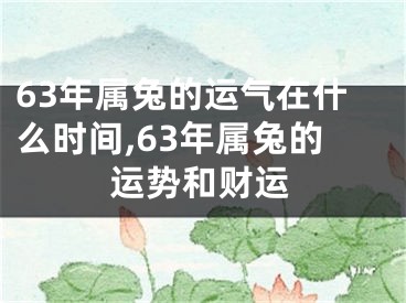 63年属兔的运气在什么时间,63年属兔的运势和财运