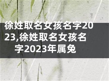 徐姓取名女孩名字2023,徐姓取名女孩名字2023年属兔