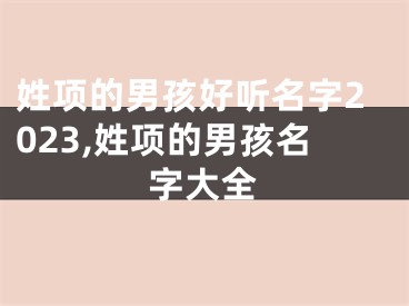 姓项的男孩好听名字2023,姓项的男孩名字大全