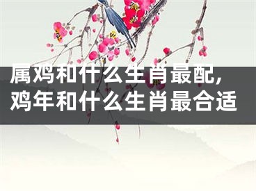 属鸡和什么生肖最配,鸡年和什么生肖最合适