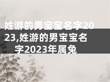 姓游的男宝宝名字2023,姓游的男宝宝名字2023年属兔