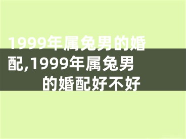 1999年属兔男的婚配,1999年属兔男的婚配好不好