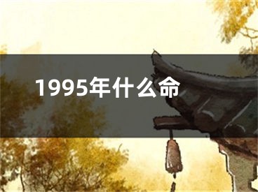 1995年什么命