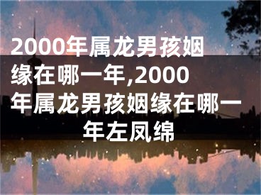 2000年属龙男孩姻缘在哪一年,2000年属龙男孩姻缘在哪一年左凤绵