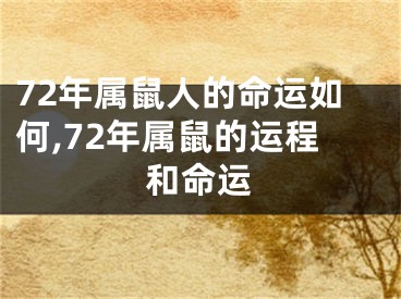 72年属鼠人的命运如何,72年属鼠的运程和命运