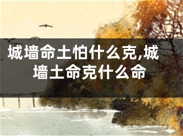 城墙命土怕什么克,城墙土命克什么命