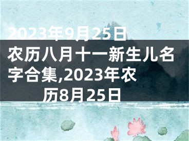 2023年9月25日农历八月十一新生儿名字合集,2023年农历8月25日