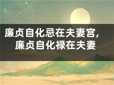 廉贞自化忌在夫妻宫,廉贞自化禄在夫妻