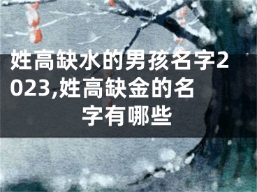 姓高缺水的男孩名字2023,姓高缺金的名字有哪些