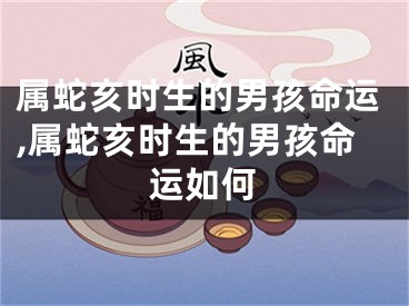 属蛇亥时生的男孩命运,属蛇亥时生的男孩命运如何