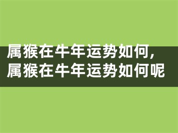 属猴在牛年运势如何,属猴在牛年运势如何呢