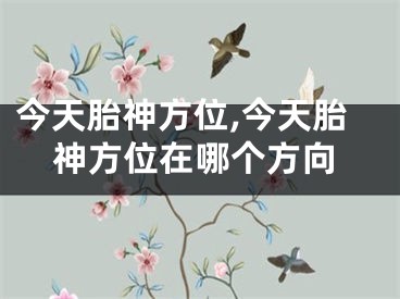 今天胎神方位,今天胎神方位在哪个方向