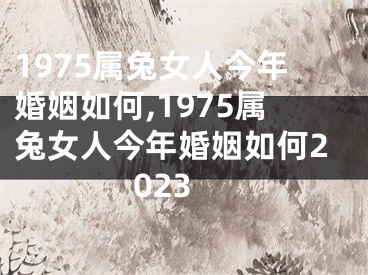 1975属兔女人今年婚姻如何,1975属兔女人今年婚姻如何2023