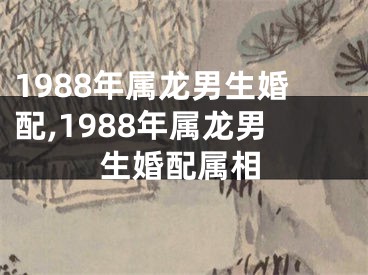 1988年属龙男生婚配,1988年属龙男生婚配属相